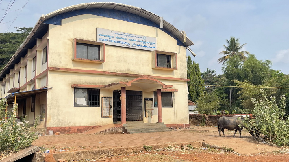 Bhatkal’s Hi-Tech fish market becomes refuge for migrants, stray animals, and beggars