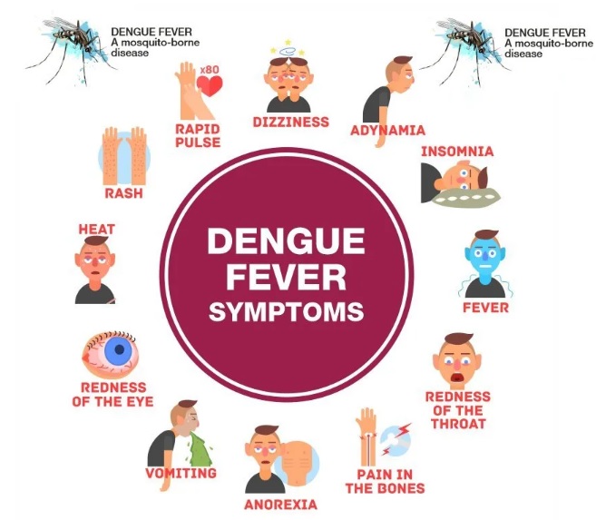 Second Dengue-Related Death in Bhatkal Sparks Concern Amid Dengue Fever Spread