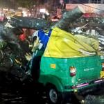 Auto-rickshaw driver dies after tree falls during rain in Bengaluru